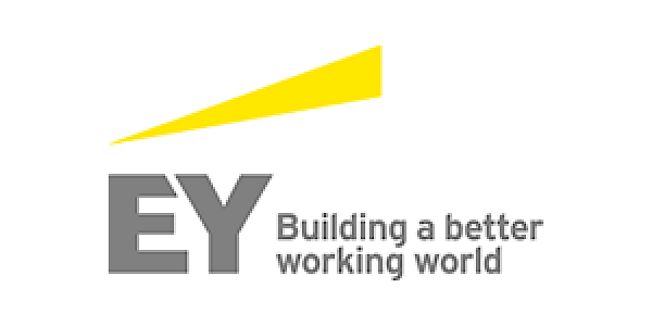 Ernst & Young Belastingadviseurs LLP